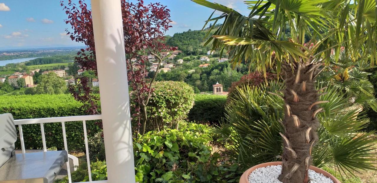 Wine Passion Panoramic Hotel Chavanay Екстериор снимка
