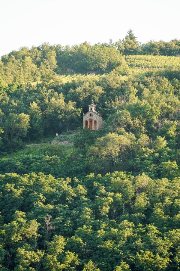 Wine Passion Panoramic Hotel Chavanay Екстериор снимка