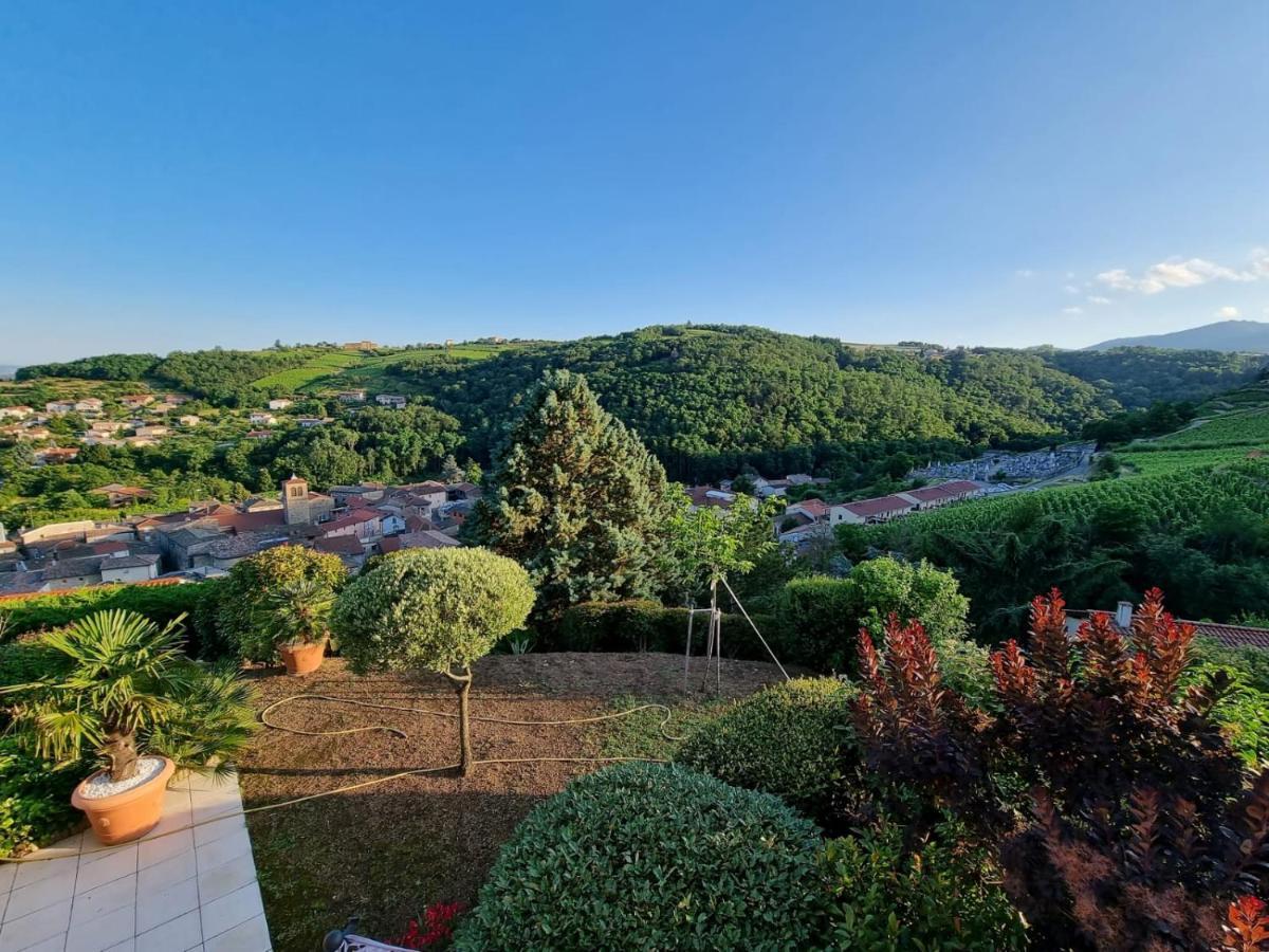 Wine Passion Panoramic Hotel Chavanay Екстериор снимка