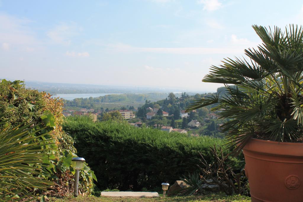 Wine Passion Panoramic Hotel Chavanay Екстериор снимка