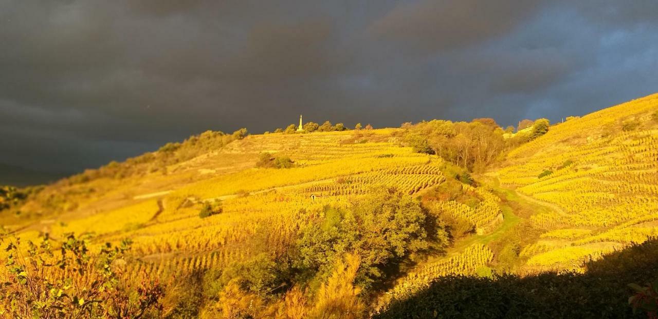 Wine Passion Panoramic Hotel Chavanay Екстериор снимка